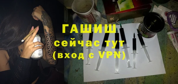 крисы Мегион