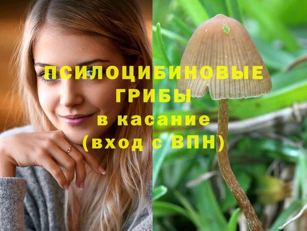 молекула духа Верея