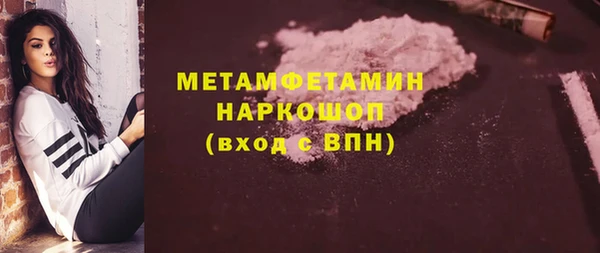 крисы Мегион