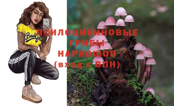 хмурый Медногорск
