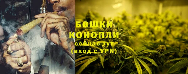 крисы Мегион
