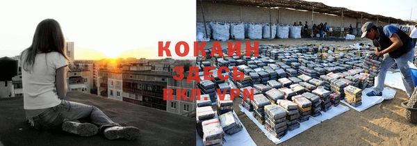 крисы Мегион