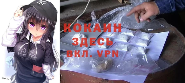 крисы Мегион