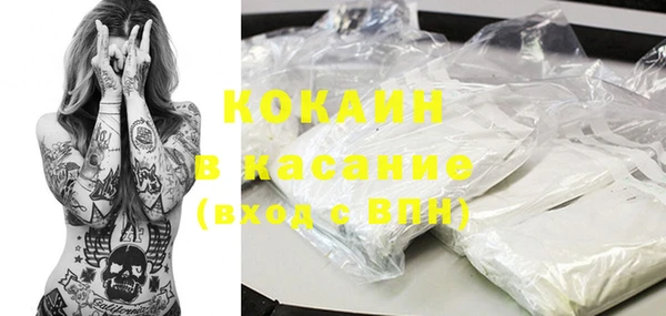 крисы Мегион