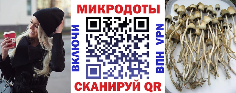 Псилоцибиновые грибы MAGIC MUSHROOMS Пятигорск