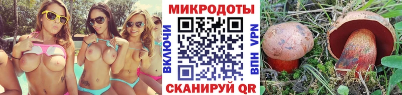 наркотики  Пятигорск  Галлюциногенные грибы MAGIC MUSHROOMS 