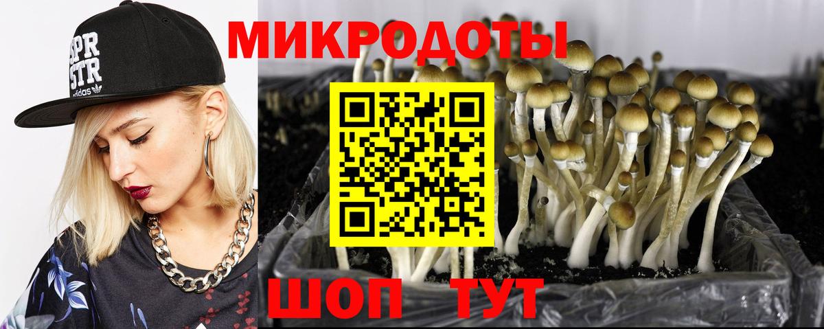 Пятигорск  Галлюциногенные грибы Magic Shrooms  Вход с VPN  купить наркотик  Псилоцибиновые грибы Cubensis 